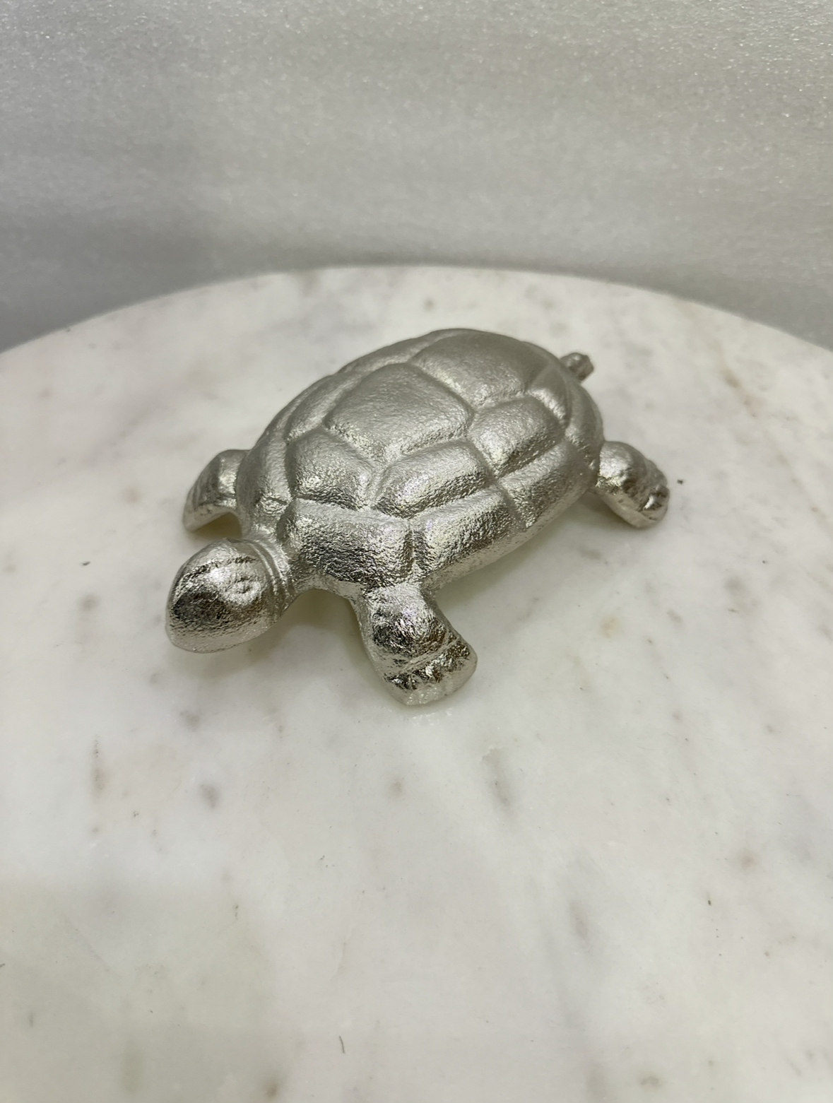 Kachhuva ghar Shanti ka PartiK