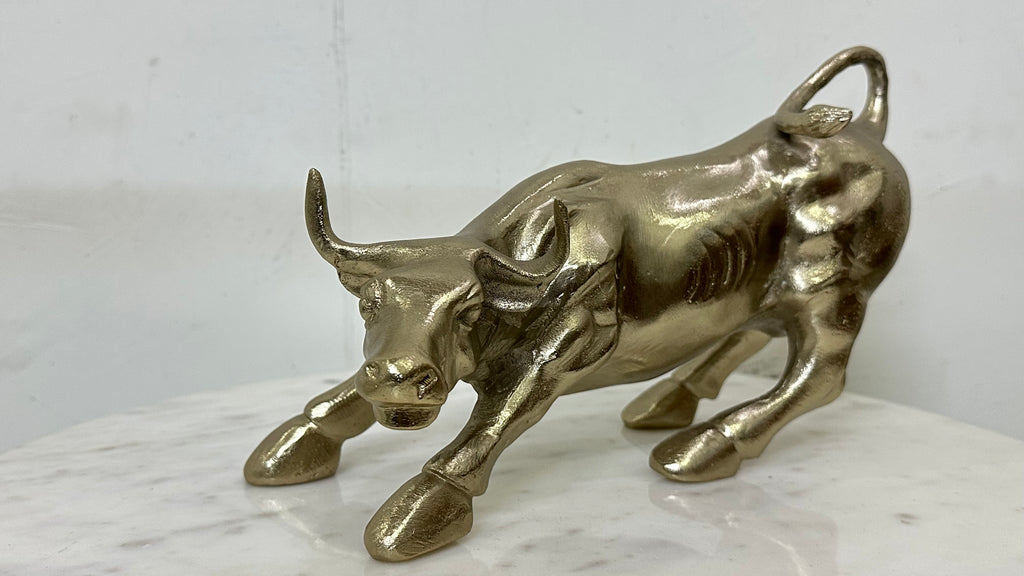 Home Decor bull