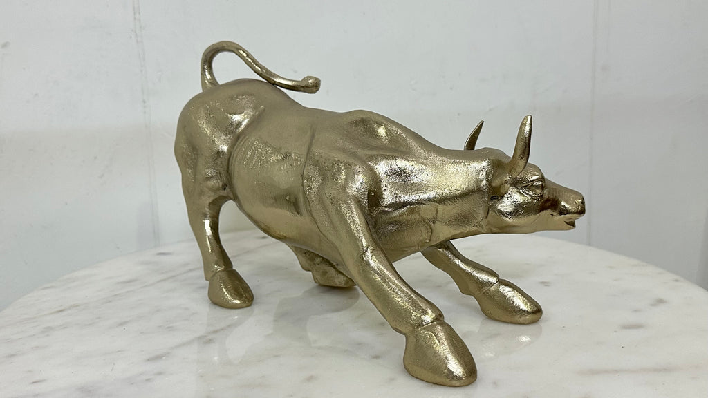 Home Decor bull