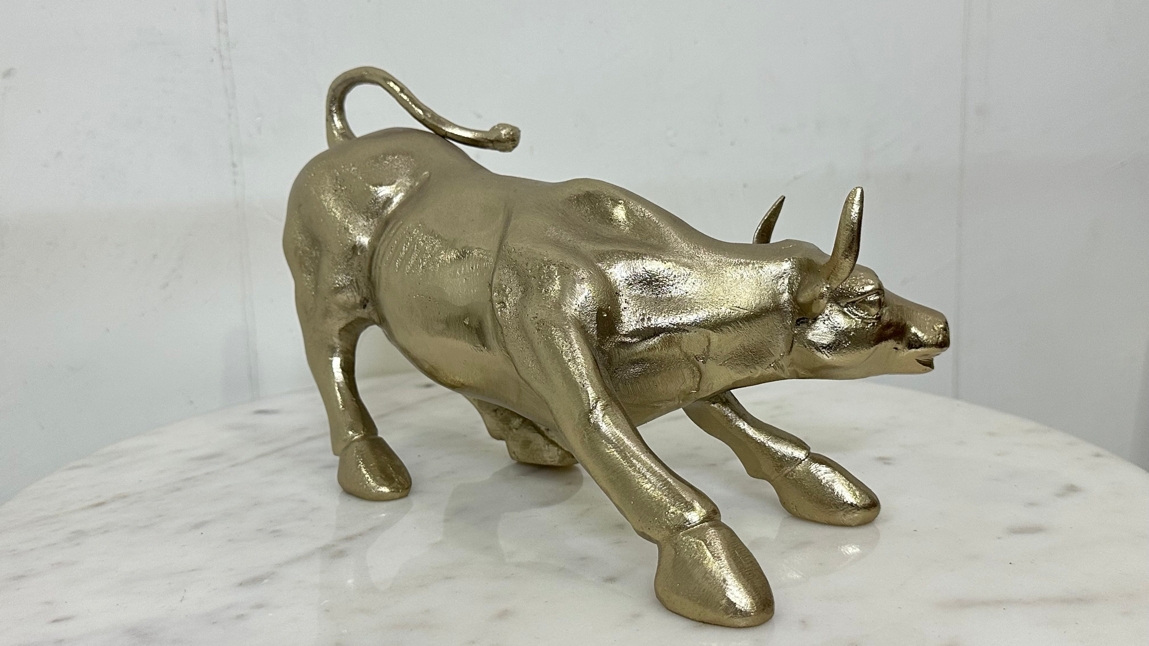 Home Decor bull